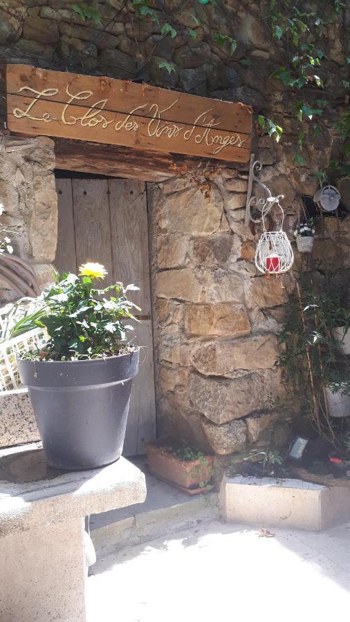 Chambres D Hotes Le Clos Des Vins D Anges Saint-Pierre-des-Champs Kültér fotó